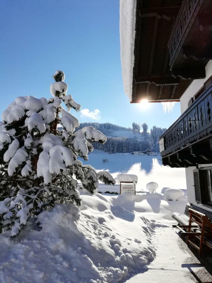 Sonneck Pension プファルヴェルフェン エクステリア 写真